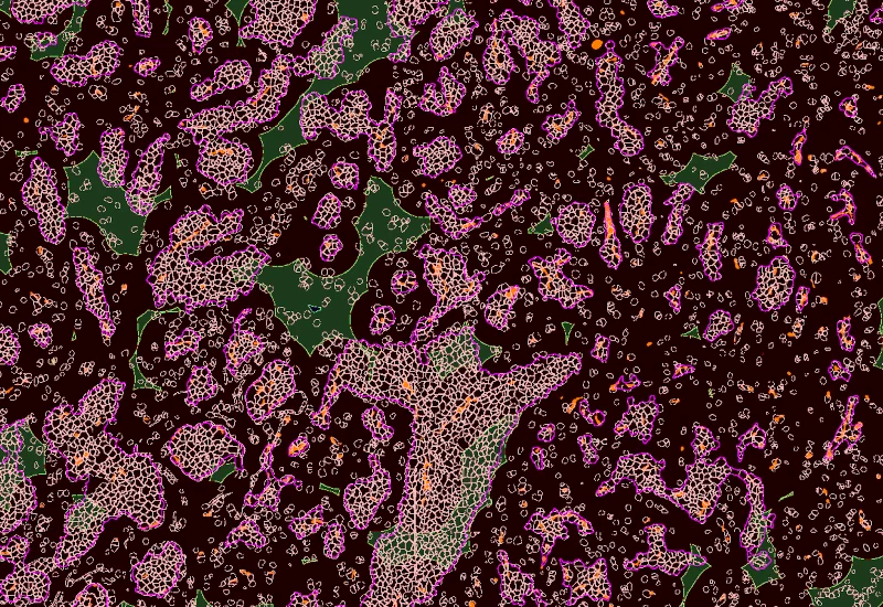 Dynamic Content Image